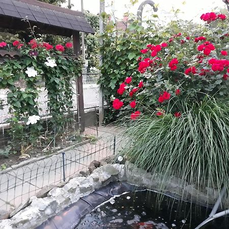 Apartment Zorec Maribor Eksteriør bilde