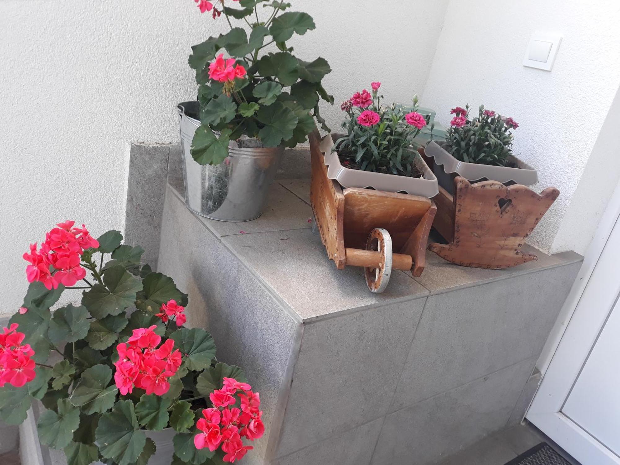 Apartment Zorec Maribor Eksteriør bilde